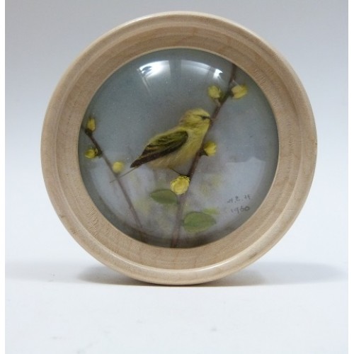 Wood Warbler (Version 3)